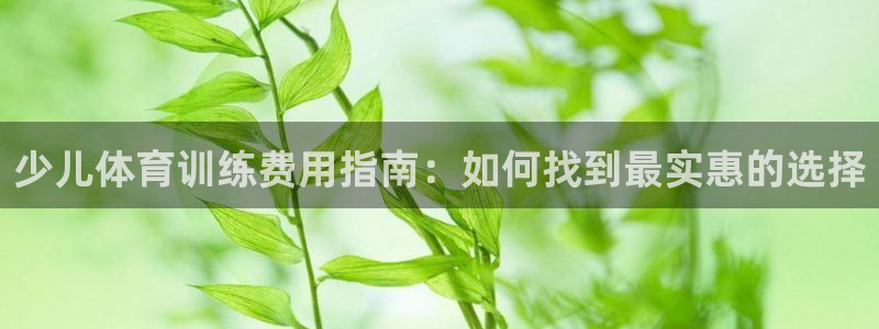 欧陆娱乐平台优势：少儿体育训练费用指南：如何找到最实