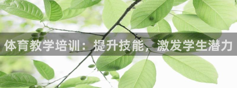 欧陆官网下载